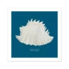 Hand-painted Conch Shell Art Print | Marine Blue Background - Unframed -Beach House Art 02f66776 6e14 4c75 add5 bd7d161fd18f