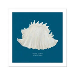 Hand-painted Conch Shell Art Print | Marine Blue Background - Unframed