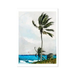 Palm Tree Painting | Vintage Watercolour Palm Print - Unframed