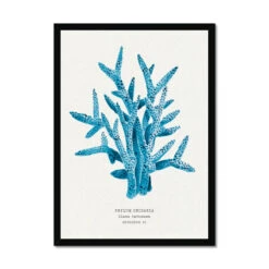 Coral Wall Art | Sea Blue Coral Painting | Specimen 6 - Framed 6 Coral Wall Art | Sea Blue Coral Painting | Specimen 6 - Framed -Beach House Art 092451c0 0793 430b b777 39c9ff506a0e