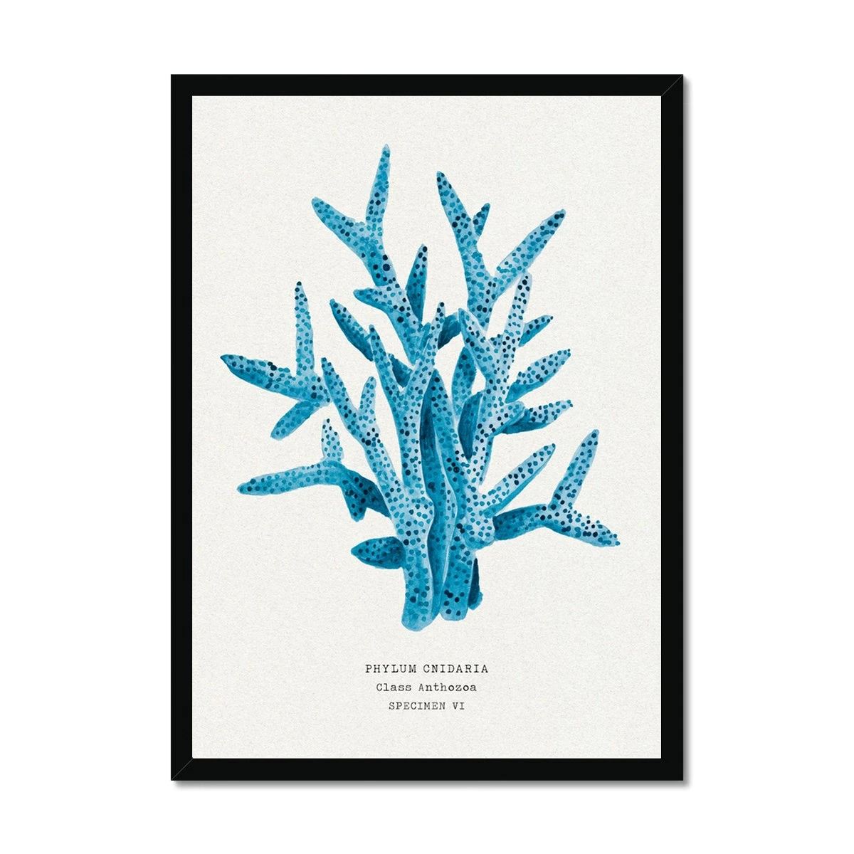 Coral Wall Art | Sea Blue Coral Painting | Specimen 6 - Framed Coral Wall Art | Sea Blue Coral Painting | Specimen 6 - Framed -Beach House Art 092451c0 0793 430b b777 39c9ff506a0e