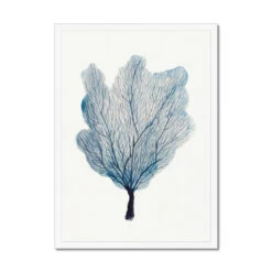 Sea Fan Watercolour Coral Painting | Coral Art | No 3 - Framed -Beach House Art 0b82a786 edbd 4351 ba09 edac120e7e52