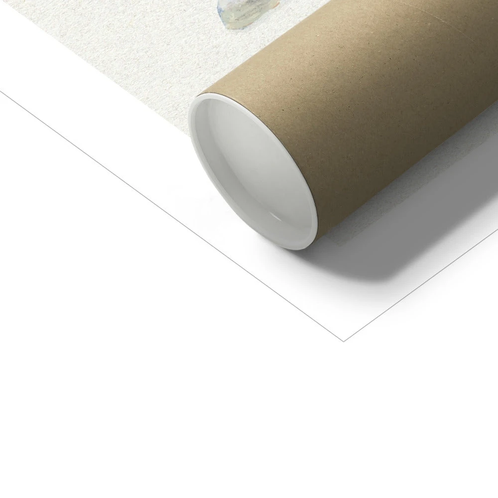 Hand-painted Whelk Shell Art Print | Natural Background - Unframed Hand-painted Whelk Shell Art Print | Natural Background - Unframed -Beach House Art 0cc3d4d5 357e 4ca7 b50a 78148bbfac4c