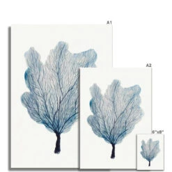 Sea Fan Watercolour Coral Painting | Coral Art | No 3 - Unframed -Beach House Art 1035faea c83f 4cbe b85e e1069be309ed 65fb1b7d ad16 4af4 a527 5032db7ed282