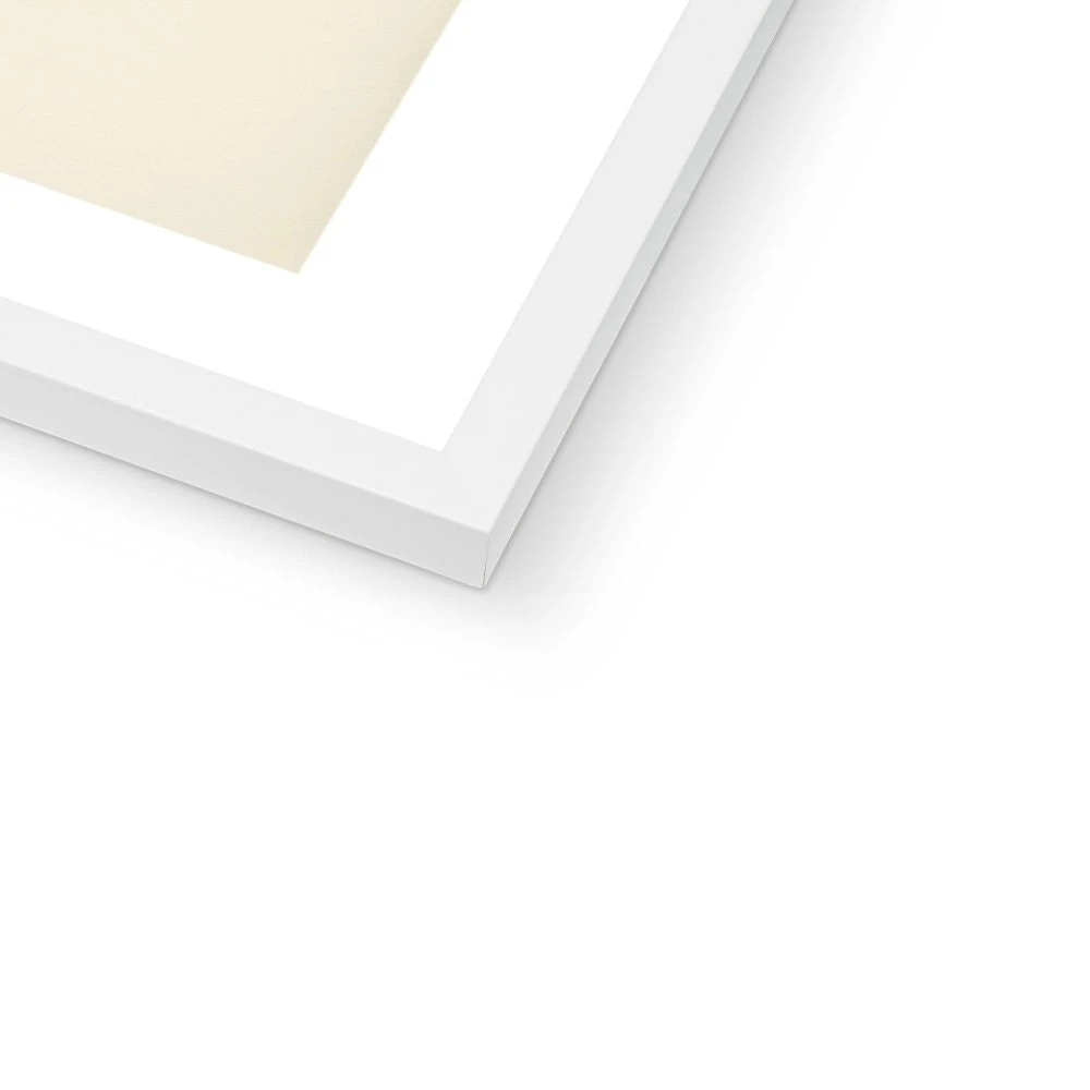 Cormorant Painting | Vintage Bird Art Print - Framed Cormorant Painting | Vintage Bird Art Print - Framed -Beach House Art 149c8029 a4d4 4f51 9710 9abbf660c045