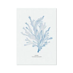 Blue Watercolour Seaweed Print | Dulse Seaweed Painting - Unframed