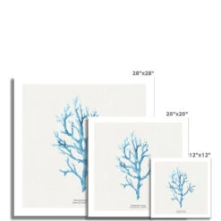 Coral Wall Art | Vermillion Coral Painting - Unframed -Beach House Art 154db474 c5f4 46d2 8cd6 eb4b7a55e0be