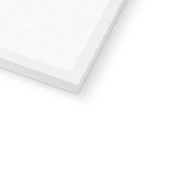 Watercolour Shell Art | Blue Art Cone Shell Print - Framed -Beach House Art 16cb5335 89e6 4014 9527 2e4f051503a4 d4c7a672 51a6 41d5 8243 e032e4f86a32