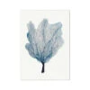 Sea Fan Watercolour Coral Painting | Coral Art | No 3 - Unframed -Beach House Art 1c4a4a74 ea4c 4c1b 8fcf 370969fa64c7 18aa3b28 9dae 4534 ad4b 0df3d382c290