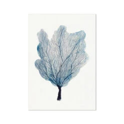 Sea Fan Watercolour Coral Painting | Coral Art | No 3 - Unframed