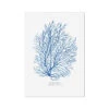 Coral Print | Marine Blue Coral Painting No 3 - Unframed -Beach House Art 1c9cd19a 1ed0 4ab7 b408 0e6aa8d6e1b8
