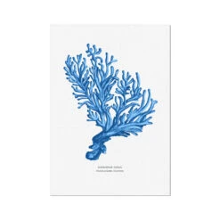 Coral Print | Marine Blue Coral Painting No 5 - Unframed