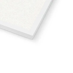 Siphoned Feather Weed No 1 Seaweed Print |Pressed Seaweed Art - Framed 7 Siphoned Feather Weed No 1 Seaweed Print |Pressed Seaweed Art - Framed -Beach House Art 274cb109 4b97 4ac5 9138 70e590da2bf7