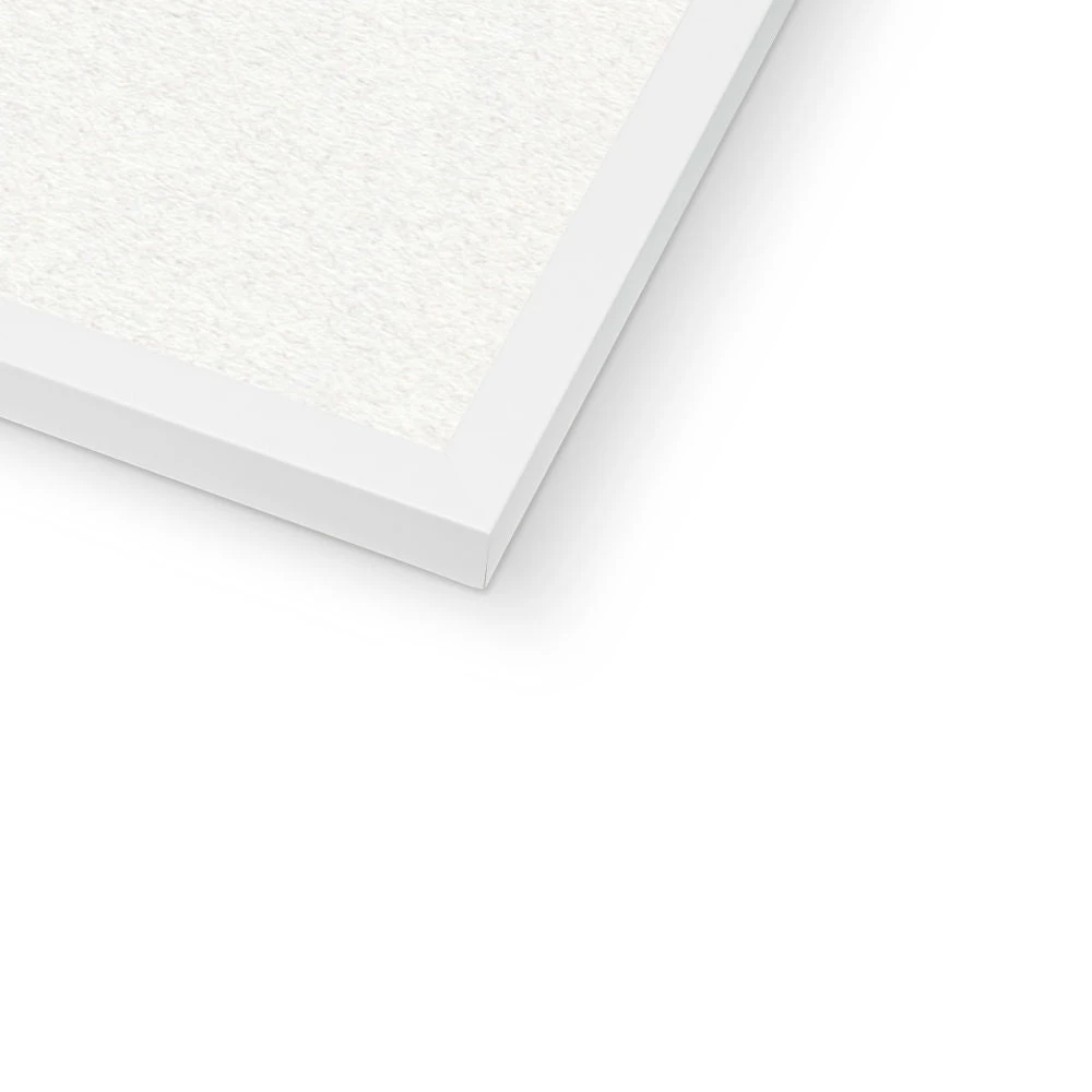 Siphoned Feather Weed No 1 Seaweed Print |Pressed Seaweed Art - Framed Siphoned Feather Weed No 1 Seaweed Print |Pressed Seaweed Art - Framed -Beach House Art 274cb109 4b97 4ac5 9138 70e590da2bf7