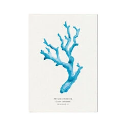 Coral Wall Art | Sea Blue Coral Print | Specimen 4 - Unframed