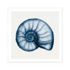 Indigo Watercolour Nautilus Shell Painting | Shell Art - Unframed