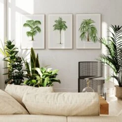 Macaw Palm Tree Print | Vintage Botanical Art Print - Unframed 4 Macaw Palm Tree Print | Vintage Botanical Art Print - Unframed -Beach House Art 3Palms 386fb029 45a2 4a5d b0fa b1c0b531c543