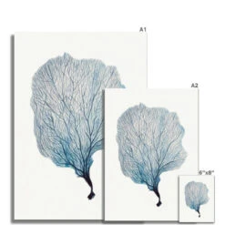 Sea Fan Watercolour Coral Painting | Coral Art | No 2 - Unframed 7 Sea Fan Watercolour Coral Painting | Coral Art | No 2 - Unframed -Beach House Art 3a87689e 7af4 45d6 9f5f 1d2a36636231