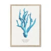 Coral Wall Art | Sea Blue Coral Painting | Specimen 5 - Framed 1 Coral Wall Art | Sea Blue Coral Painting | Specimen 5 - Framed -Beach House Art 3ab11f59 028c 4f0f af51 b5a10851bede