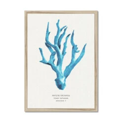 Coral Wall Art | Sea Blue Coral Painting | Specimen 5 - Framed