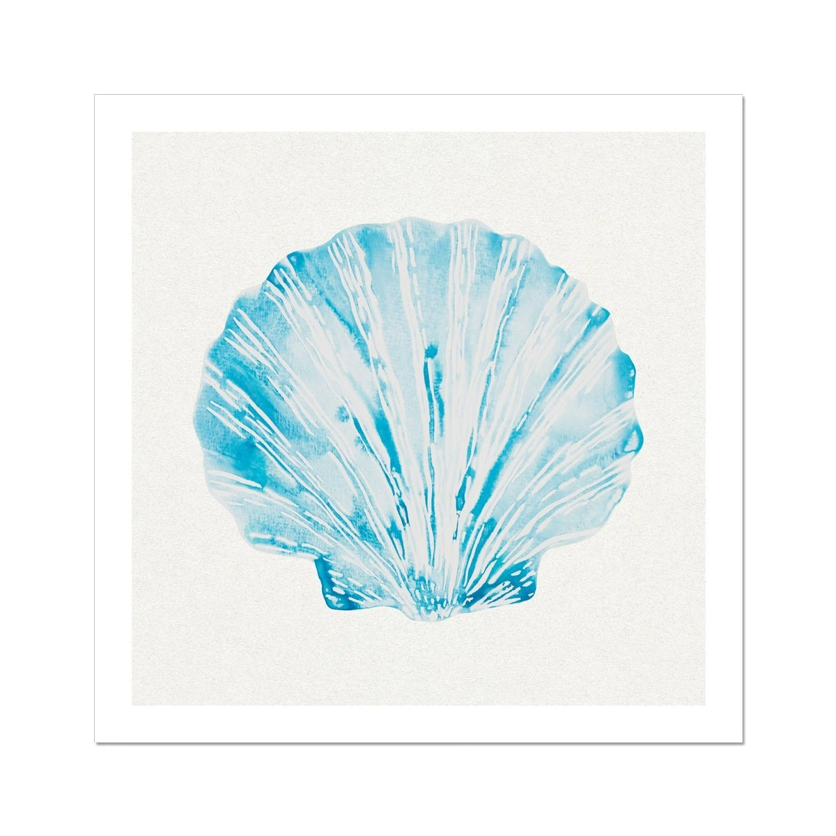 Aqua Watercolour Scallop Shell Painting | Shell Print - Unframed Aqua Watercolour Scallop Shell Painting | Shell Print - Unframed -Beach House Art 3af86526 164d 4b8e 869c 372338a08068