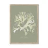 Olive Green Seaweed Art Print | Botanical Wall Decor | Stalked Leaf Bearer - Framed 2 Olive Green Seaweed Art Print | Botanical Wall Decor | Stalked Leaf Bearer - Framed -Beach House Art 3e022c2d 0e5c 4029 85bf 4184c6f2ee9b