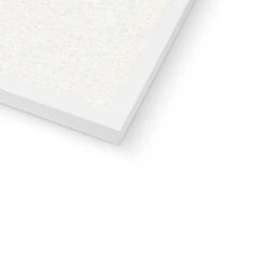 Coral Wall Art | Sea Blue Coral Painting | Specimen 6 - Framed 9 Coral Wall Art | Sea Blue Coral Painting | Specimen 6 - Framed -Beach House Art 3f9016da 1ff0 442a b6e9 c1ef659e916f