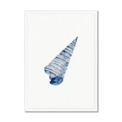 Watercolour Shell Art | Blue Art Cone Shell Print - Framed -Beach House Art 4395f4f5 a2a2 4ac3 b579 abe4829c4e81 6837be93 d44a 469f 9461 dcdec17a9014