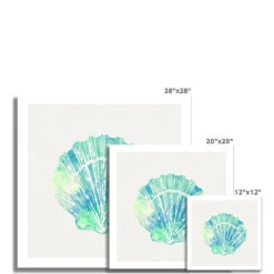 Opal Scallop Shell Art Print | Watercolour Shell Print - Unframed -Beach House Art 43d9fbfc 78f5 41e4 85e8 8ac0bb6f63e8