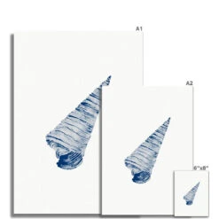 Watercolour Shell Art | Blue Cone Shell Print - Unframed -Beach House Art 47a8f691 c897 4b68 ad03 5e38387e966f