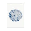 Watercolour Shell Art | Blue Scallop Shell Print - Unframed -Beach House Art 4bef6db2 2387 4098 81bb feb4087321b1