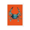 Crab Painting | Colourful Kitchen Wall Print | Crab Painting On Red Background - Unframed 2 Crab Painting | Colourful Kitchen Wall Print | Crab Painting On Red Background - Unframed -Beach House Art 53b57070 4454 4902 93c6 9d115bdd9977