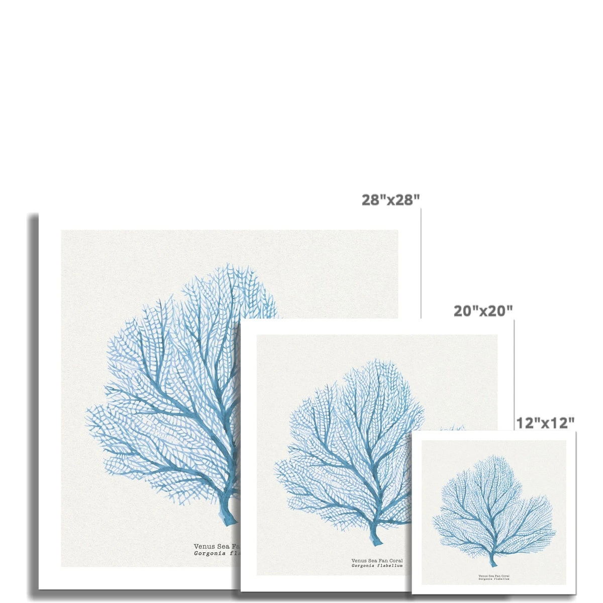 Coral Art | Fan Coral Painting - Unframed Coral Art | Fan Coral Painting - Unframed -Beach House Art 5452a993 7062 44ec 994d 1b8c1a834315