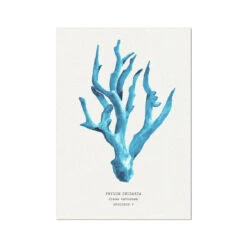Coral Wall Art | Sea Blue Coral Painting | Specimen 5 - Unframed