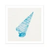 Aqua Watercolour Cone Shell Painting | Shell Print - Unframed