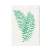 Tropical Leaf Artwork No 2 | Green Botanical Wall Art - Unframed -Beach House Art 5eac679b 04fc 4ef3 a9e8 71a0a1aa86da