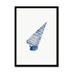 Watercolour Shell Art | Blue Art Cone Shell Print - Framed -Beach House Art 5ed9e5a1 4f8e 46b9 aed9 322b749d54a3 f6246db4 71e2 45c7 8457 000a9026ecb7
