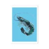 Prawn Art Print | Shellfish Kitchen Wall Art | Prawn Painting On Blue Background - Unframed 2 Prawn Art Print | Shellfish Kitchen Wall Art | Prawn Painting On Blue Background - Unframed -Beach House Art 67b76db8 e2ee 4fad 9133 86a834ff1b03
