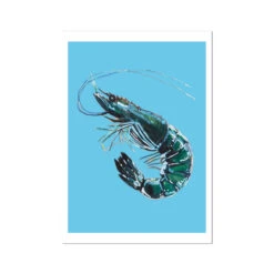 Prawn Art Print | Shellfish Kitchen Wall Art | Prawn Painting On Blue Background - Unframed