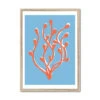 Abstract Colourful Seaweed Art Print No 2 | Coastal Graphic Wall Decor | Handcrafted Lino Cut Design - Framed 2 Abstract Colourful Seaweed Art Print No 2 | Coastal Graphic Wall Decor | Handcrafted Lino Cut Design - Framed -Beach House Art 69a53208 f3f9 41fd 82dd 05baa2d33fb8