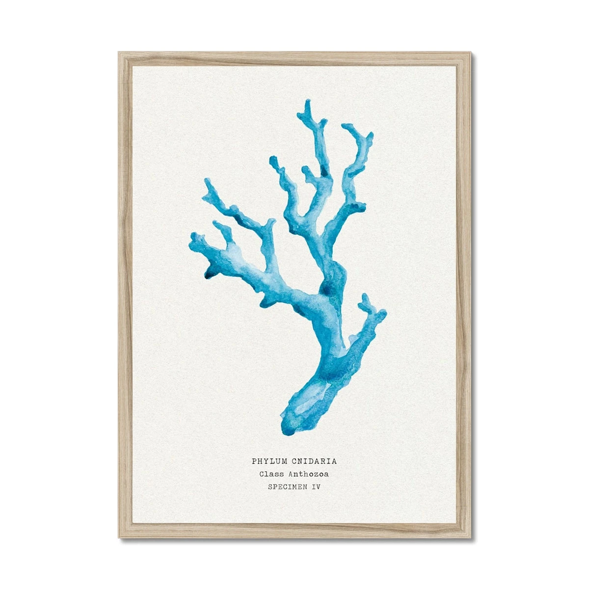 Coral Wall Art | Sea Blue Coral Painting | Specimen 4 - Framed Coral Wall Art | Sea Blue Coral Painting | Specimen 4 - Framed -Beach House Art 6a261379 9aa0 4bee a5ff 15ab8e7632ba