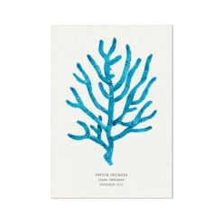 Coral Wall Art | Sea Blue Coral Painting | Specimen 8 - Unframed