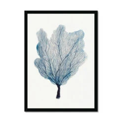 Sea Fan Watercolour Coral Painting | Coral Art | No 3 - Framed -Beach House Art 75c21e8a c95f 4c3d b030 e90e335da676