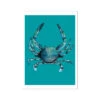 Crab Print | Colourful Kitchen Wall Art | Crab Painting On Blue Background - Unframed -Beach House Art 7788914b c014 4e08 b900 096e279c0b48