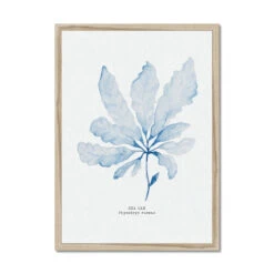 Blue Watercolour Seaweed Art Print | Sea Oak Seaweed Painting - Framed