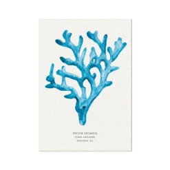 Coral Wall Art | Sea Blue Coral Painting | Specimen 3 - Unframed