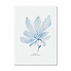 Blue Watercolour Seaweed Art Print | Sea Oak Seaweed Painting - Framed 8 Blue Watercolour Seaweed Art Print | Sea Oak Seaweed Painting - Framed -Beach House Art 79cf1413 74a6 42f3 a493 9521017f7b99