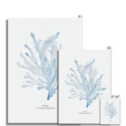 Blue Watercolour Seaweed Print | Dulse Seaweed Painting - Unframed -Beach House Art 7d6b9adc 1194 4f37 badd 19e712c18028