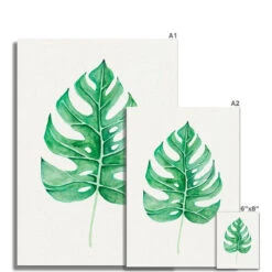 Monstera Leaf Artwork No 1 | Green Botanical Wall Art - Unframed -Beach House Art 8c665787 19f2 45bf b254 ac42da3d4b03 c53000c1 2a07 4232 8837 27ef31aeb96f