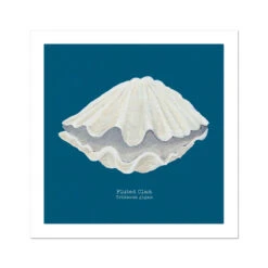 Hand-painted Clam Shell Art Print | Marine Blue Background - Unframed